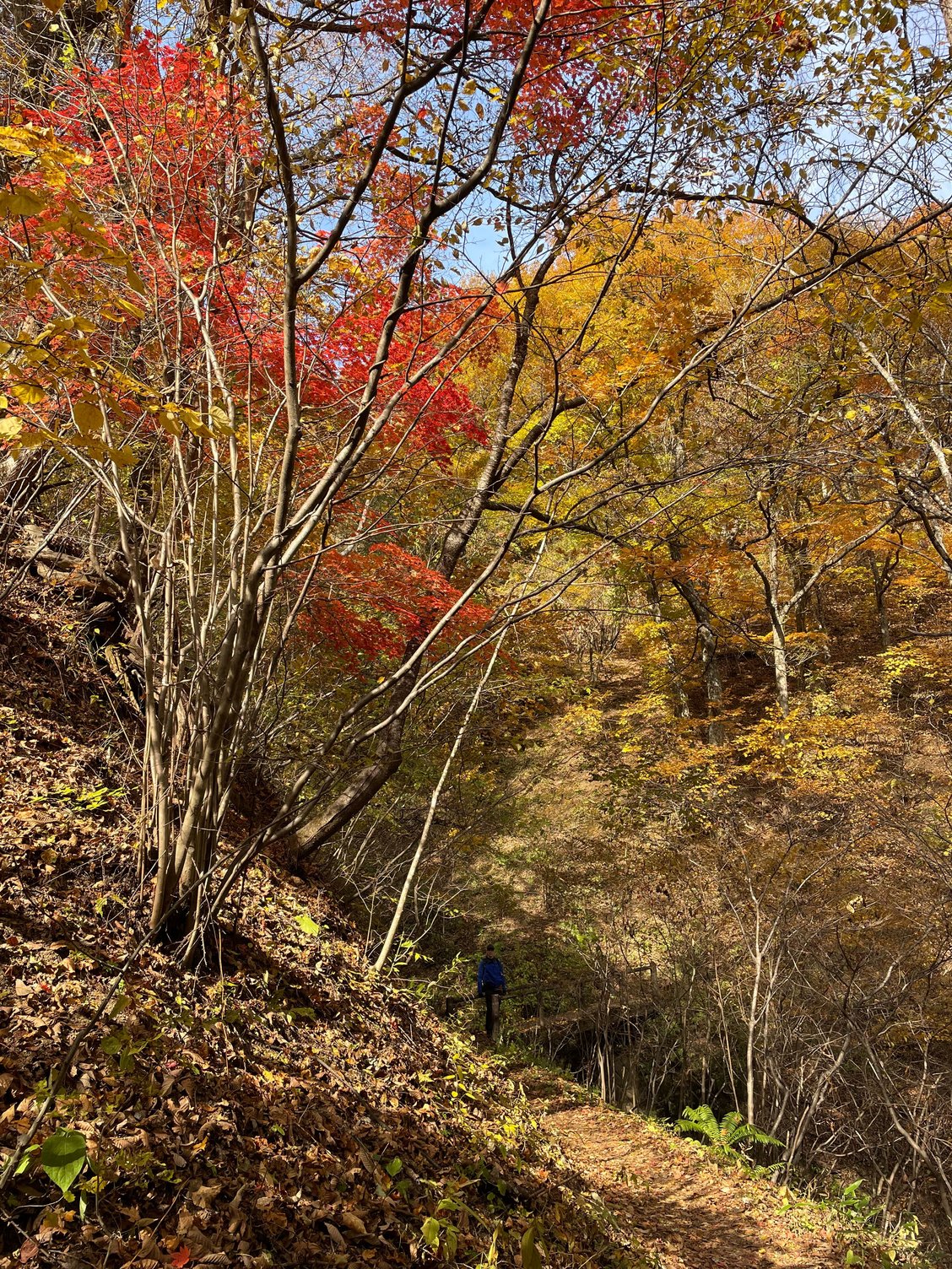 On the way down from the peak