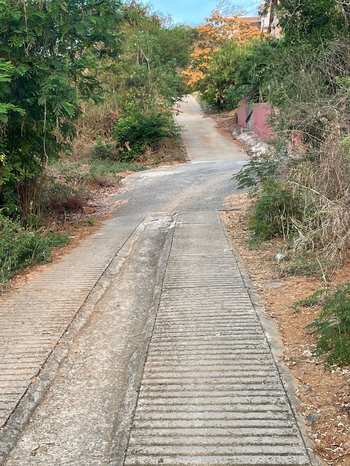 This is a picture of the walk up to the Mirador, it's quite steep