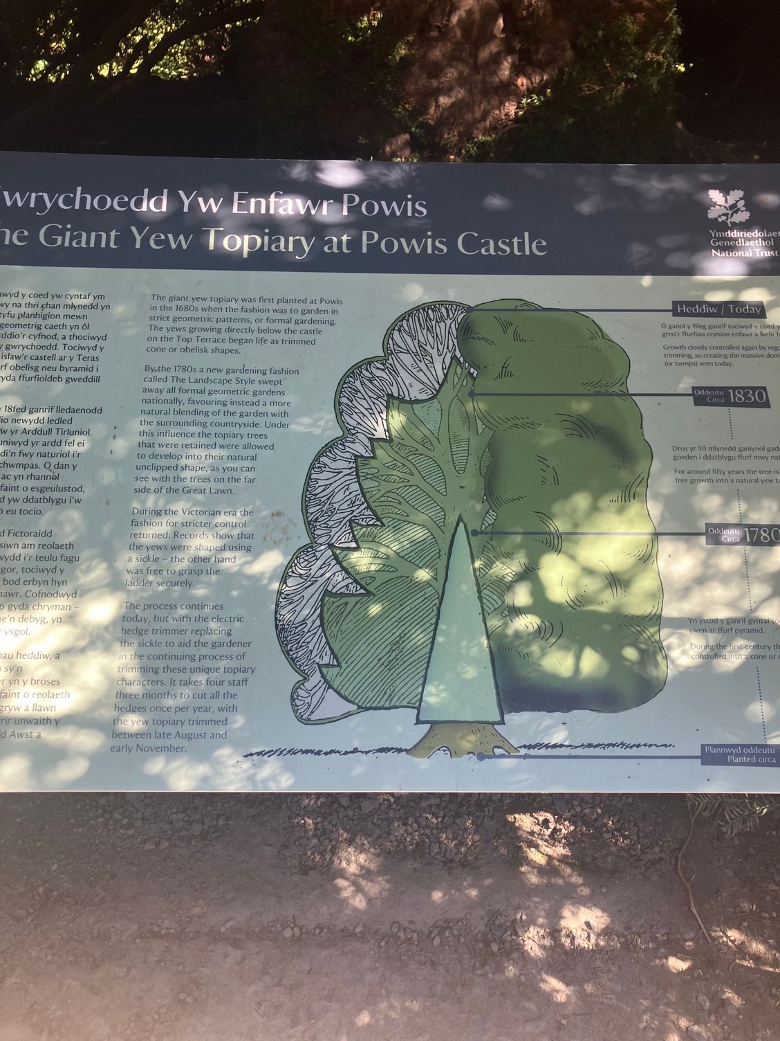 This is an explanation of the topiary - not a great photo though