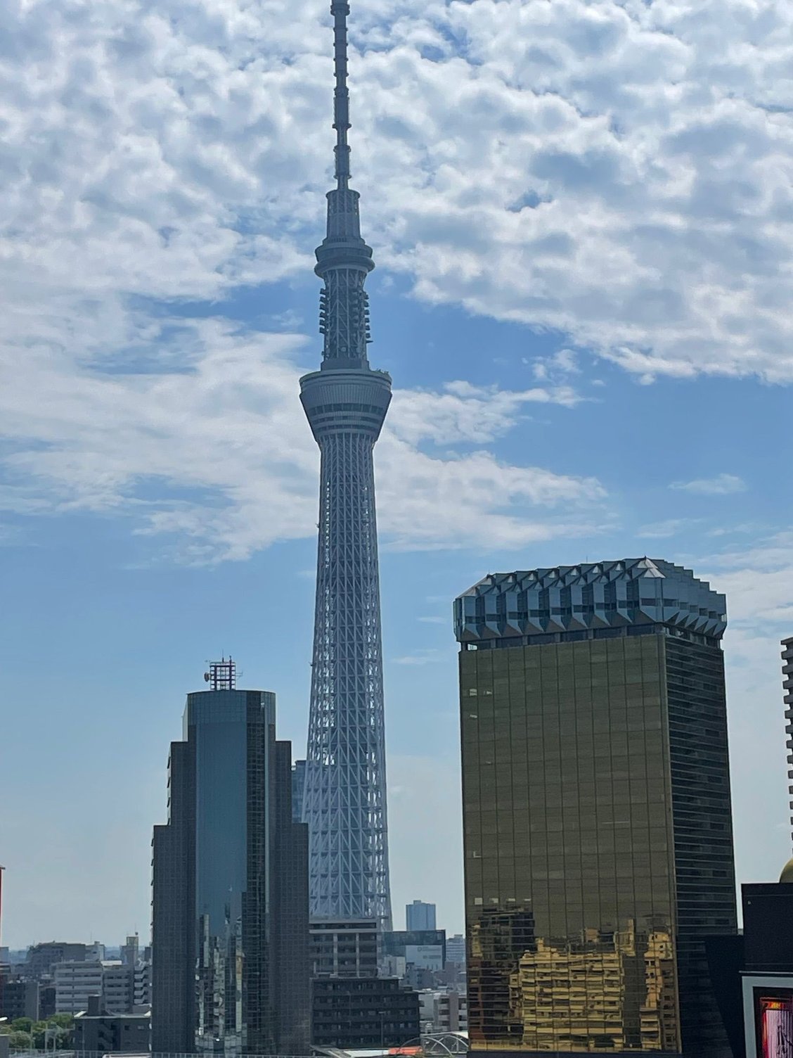 Looking out toward the Tokyo Skytree, from the observation deck.  ( I think I called this Tokyo Tower last night in my post, that was wrong)