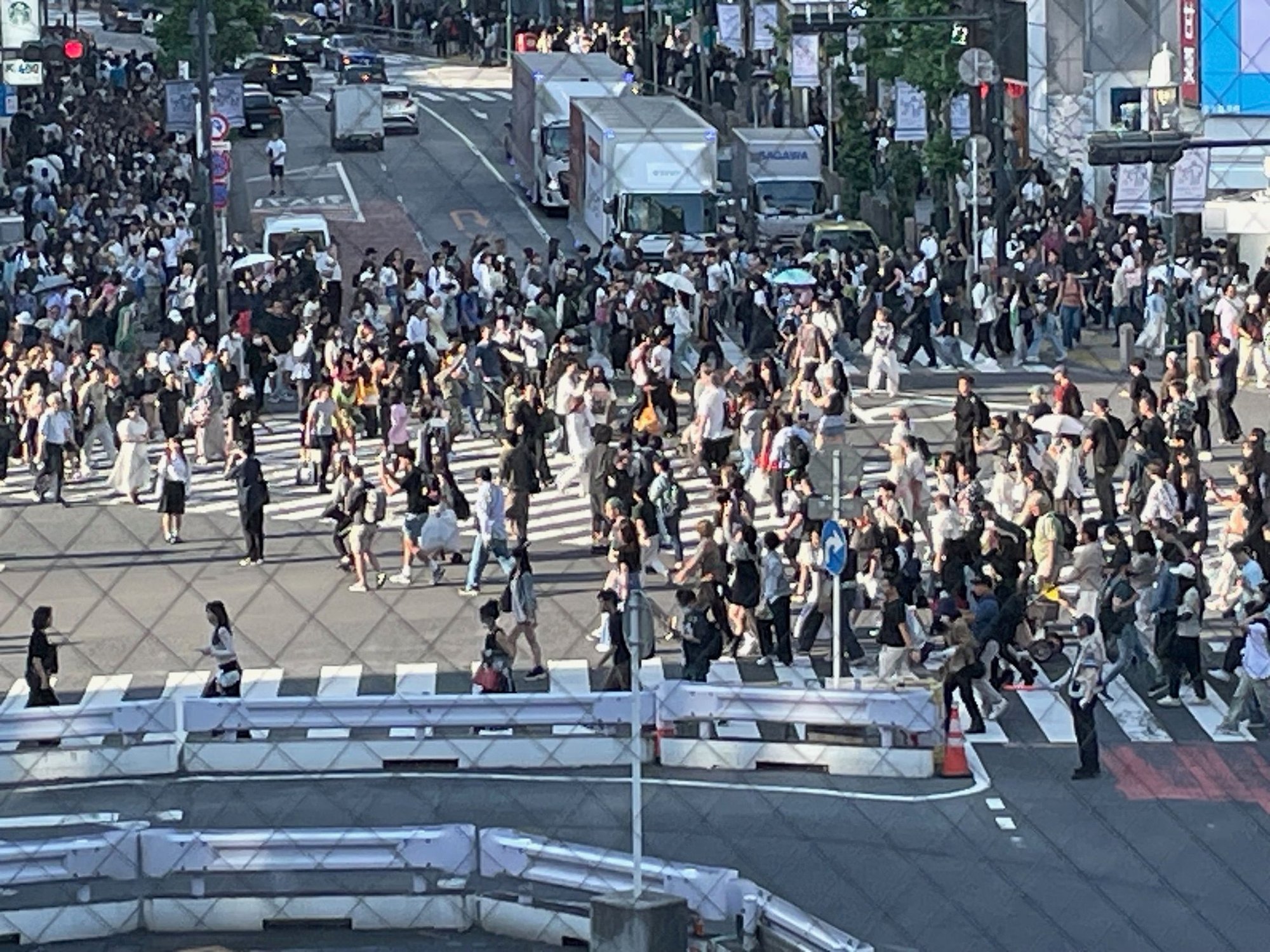 The Crossing