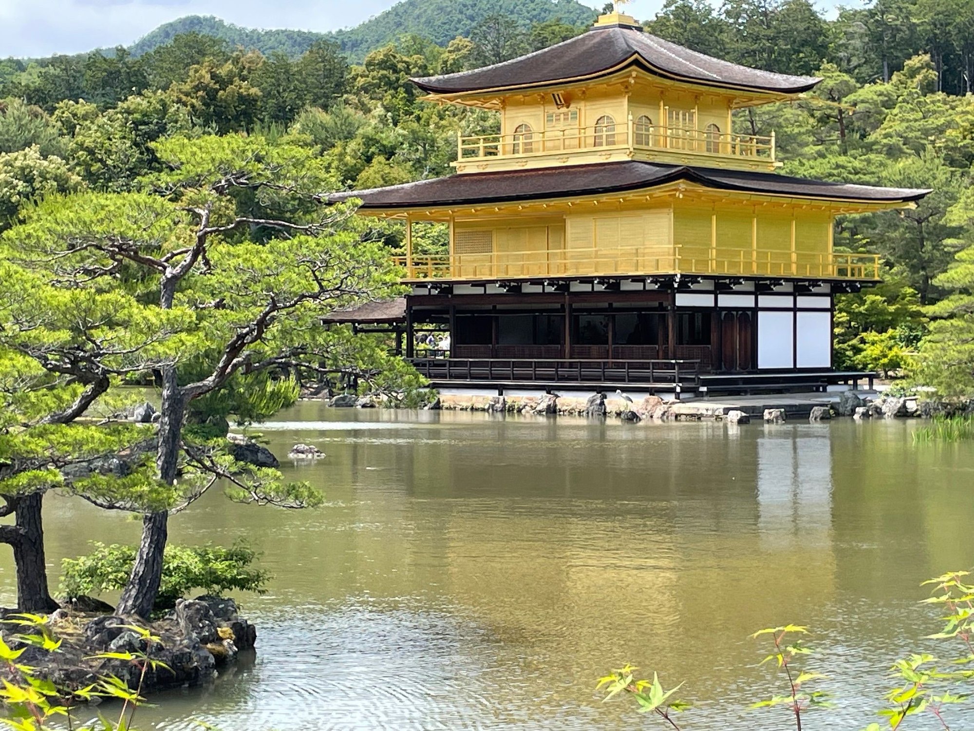 One of the first things you see when you enter the Temple complex