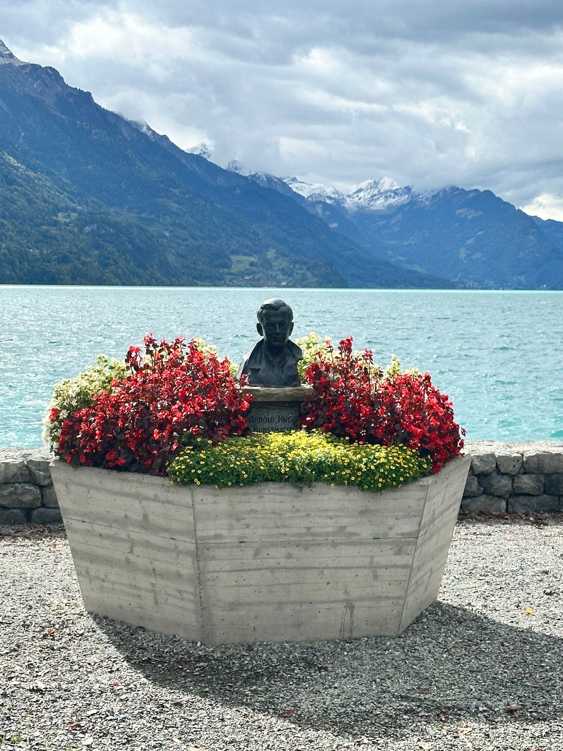 Pretty flowers by the lake