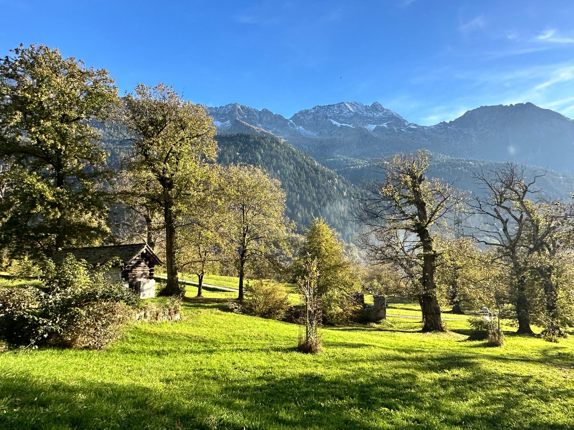 Walking the beautifuk Via Bregaglia trail.