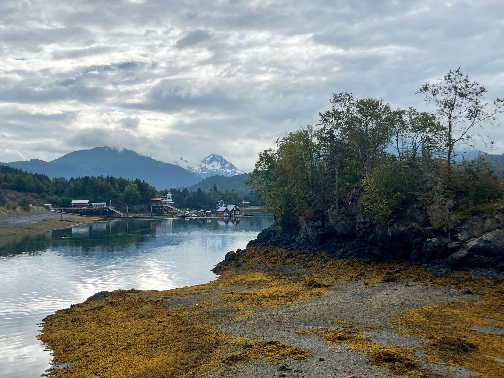 View of Halibut cove community