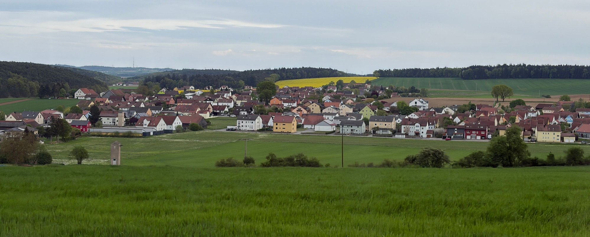 Villages on the bus route. Canola in flower.