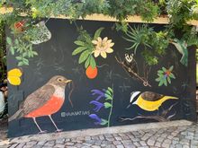 Botanical gardens 