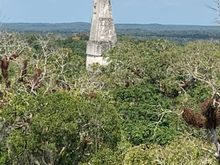 Temple #4.  Tikal.