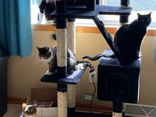 This striped outfit is especially cute