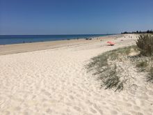 Family fun day at the beach for lots of people