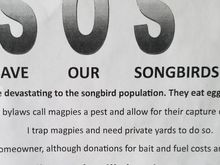 ...and the guy who is after them.