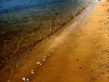 All lined up like bluebottles!