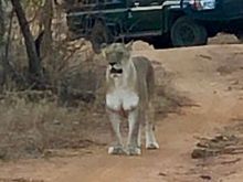 Never thought we’d get this close