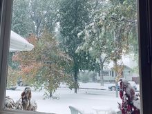 Earlier today...we have a lot more snow now.  