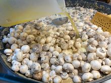 No, shouldn’t made mushrooms this way!