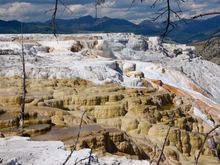 Mammoth Hot Springs