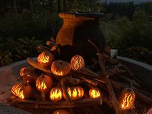 Naumkeag pumpkin show