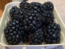Huge blackberries from the farmers market.