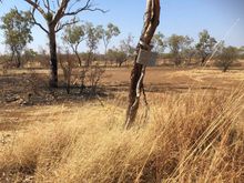 Our sign is still there....lol