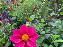 Shortly after this is started raining really hard.  