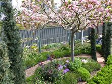 Garden has little rooms divided by espaliered trees 