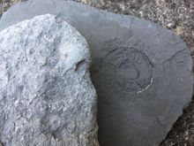 This morning's reward 