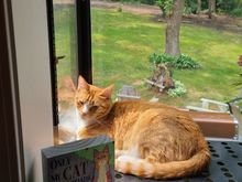 Isn’t he sweet Zig? 