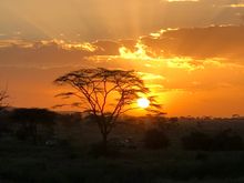 Serengeti sunset