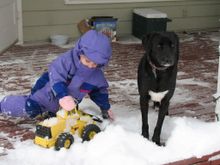 We were looking at old photos last night of the best dog, Scout. She was the sweetest dog in the world. 