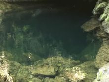 Source of Riwaka river