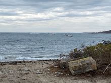 Very Maine feeling, eh Barb?