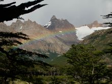 A little rain brought out the rainbows!