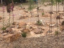 I love this heron from the junk shop that i got for my birthday.