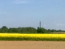 Countryside covered in rapeseed plants