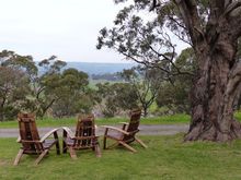 Winter day wine tasting in the gardens