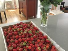 Box of PYO strawberries 
