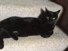 Can’t believe you went there Zig. Look at that face!! Although he is not getting near any sweet birds. Love your hummingbird pictures .