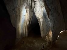 Donna Cave - "The Bedroom Curtains"