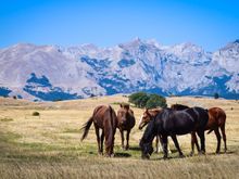 On our way over Durmitor.