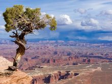 Canyonlands NP