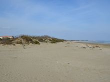 Alberoni beach