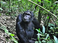 Now,where do I start for breakfast