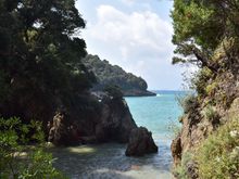 Encountered on my walk