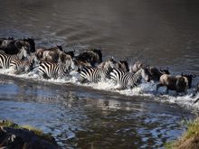 Then they finally decided to cross over.