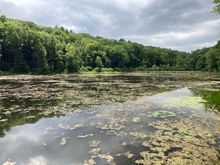 Mount Tom State Reservation in Holyoke
