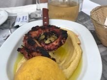 Grilled octopus on a fava bean purée 