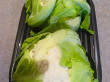 Aren't they adorable?