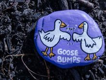 Geese.