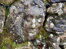 Stone Faces