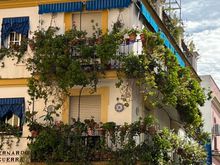 A plant based building in Triana.